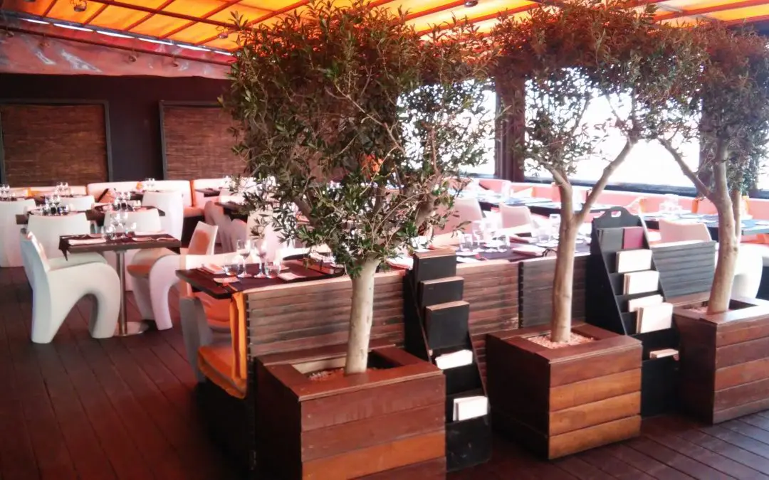Licencia de actividad para apertura de Restaurante