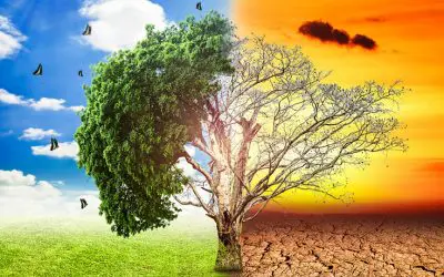 Tercer Informe sobre el cambio climático
