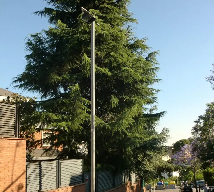 Proyecto de obra para tala de árboles en Jardín. Proyecto de Idoneidad técnica