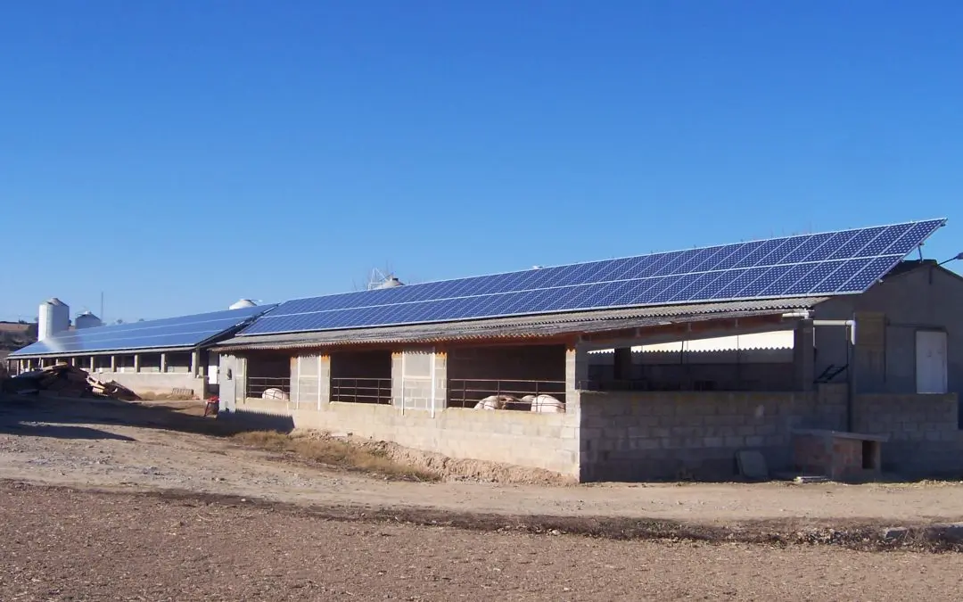 Energía solar fotovoltaica para nave ganadera