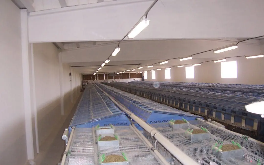 Proyecto de instalación eléctrica para nave ganadera