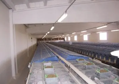 Proyecto de instalación eléctrica para nave ganadera