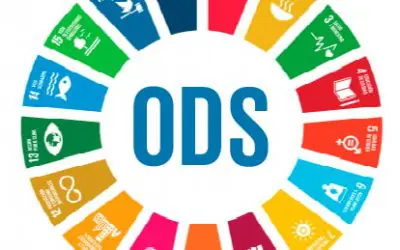 ¿Qué son los 17 Objetivos de desarrollo sostenible?