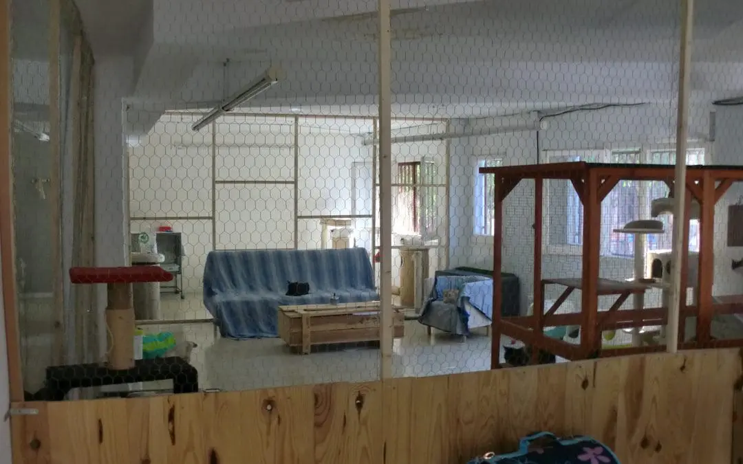 Licencia de actividad para Asociación sin ánimo de lucro